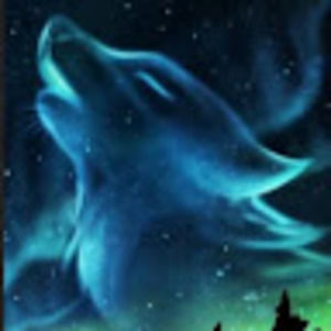 Meet your Posher, Chyenne